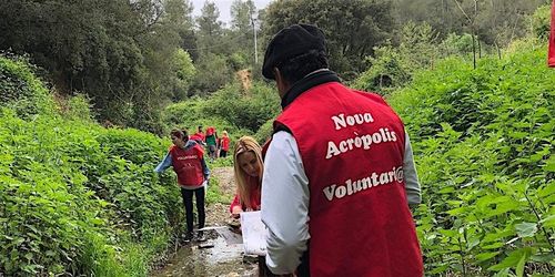 *Proyecto Ríos* Voluntariado Ecológico en la riera de Vallvidrera